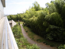 090807�� ���֥ס����� �첰���ꥢ