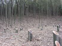 080329���������ִ�λ