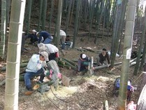 121013���������� (1)