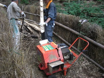 080805���åѵ����