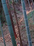 天の川ほか (6)