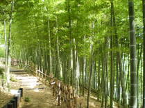 ����⥦�������� �ݳ�