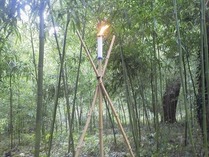 �����ǥ�ȡ���