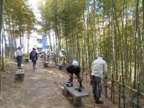 縮小 国際竹垣改修