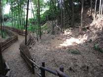 080806�ĺ������