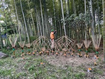 IMG_2582