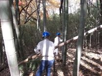 081206���ɤ�ι���ݤ�����