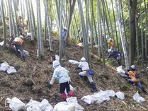 140921国際竹灯籠設置と間伐 (2) - コピー