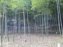 �����ޤǤˤʤ�ޤ���