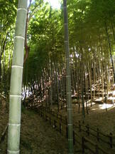 090807�ơ�����������