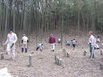 080329�����Ƥ�����