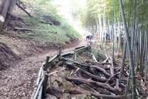 211102作業みち復旧