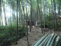 DSCN8403