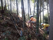 �̾� �������ʤ饸�㥤����ȥ�����������