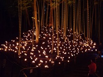 メイン会場 (11)