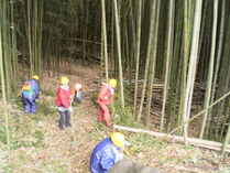 ���ޥ�����Ȳ