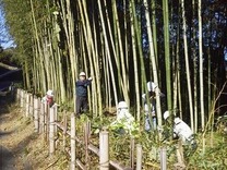 ���ԡ� �� P1000011