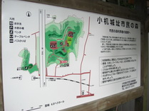 080805����������