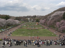 080329���ɤ⥵��������