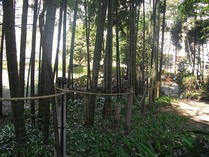 荒縄