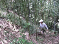 080705����ס���ޥ�������