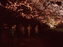 120407西谷5