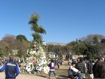 090111Ãݤ䤰¤é¤È¥×¡¼¥ë¤ÎÂç²°º¬