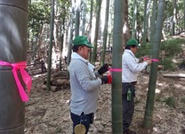 定例日前日マーキング