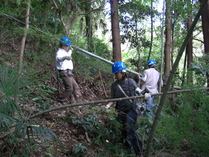 081018�ݤ�Ȳ��Ф�