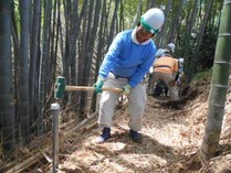 �̾� �������ϩ�Ĥ���