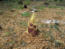 100417����ס���䣷������