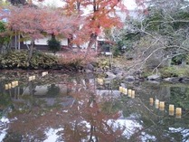121203韮山竹灯籠まつり3