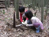 080608こども2人たけのこ狩り