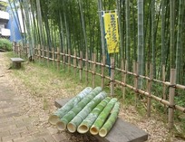 縮小 竹水筒