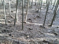 121226�������������� (2)