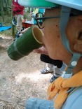190601国際若竹伐採・下草刈り・竹水採水6