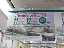 081014電車中吊り広告