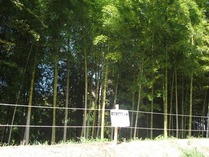細ヒモ・下げ看板