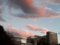 初冬の夕雲 東京都市大学