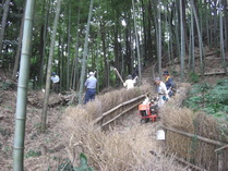 080805������ʤΣ�