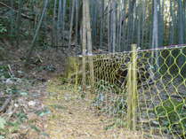 091220���Υ��������ͥå�