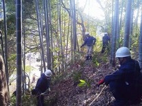 131214伊豆3金谷岬エリア整備 - コピー
