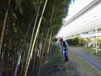 111211���͹�ݥס����Ȳ���ߤλ���