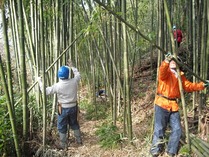 120128愛川間伐 (1)