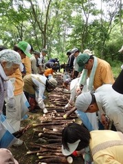 縮小 愛川150613 2