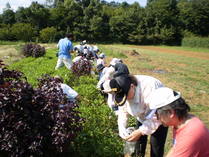 090905���������Ȥ�