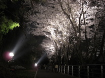 080403���ɤ�ι��륶����Υ饤�ȥ��å�