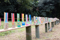 1108겾�ؼ�Ꭿ��Ꮎ�Ꭴ�⳽HJ20251108-0038