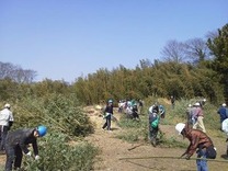 130309愛川町 縮小