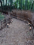 天の川ほか (4)
